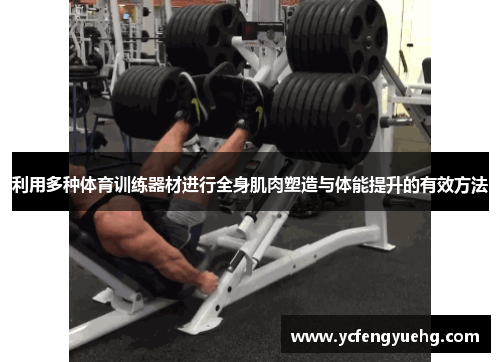 利用多种体育训练器材进行全身肌肉塑造与体能提升的有效方法