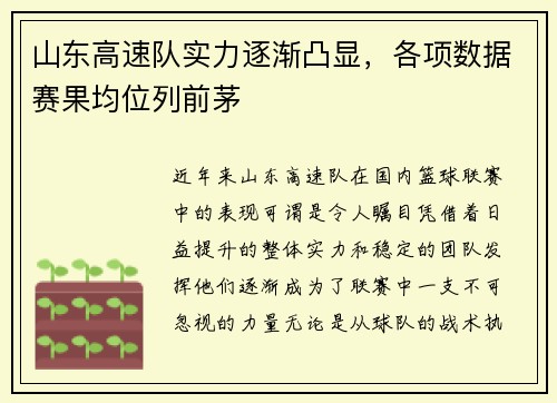 山东高速队实力逐渐凸显，各项数据赛果均位列前茅